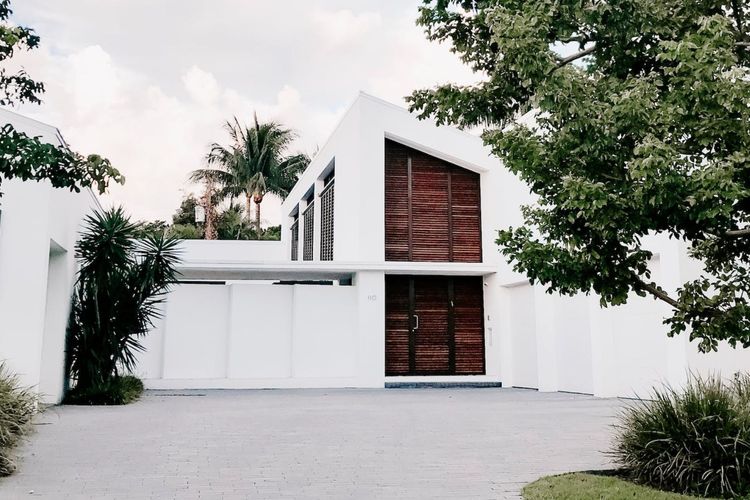 Little “Jungle” House